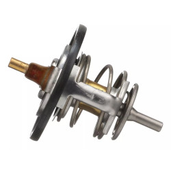 TERMOSTAT CASE 87596469