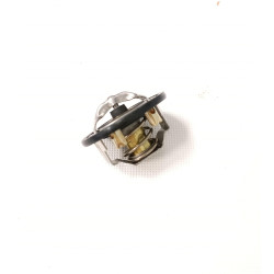 TERMOSTAT CASE 87596477