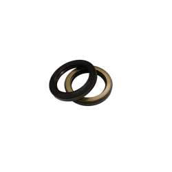 USZCZELNIACZ NOK AP2240G