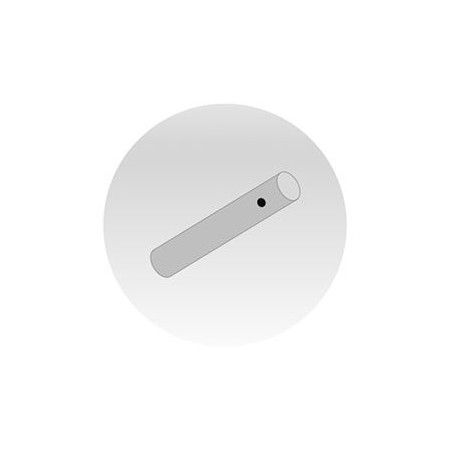 SWORZEŃ Z ZABEZPIECZENIEM ŚRUBOWYM  30x237