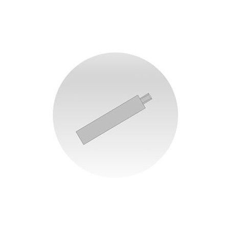 SWORZEŃ ZABEZPIECZANY NAKRĘTKĄ 44x258