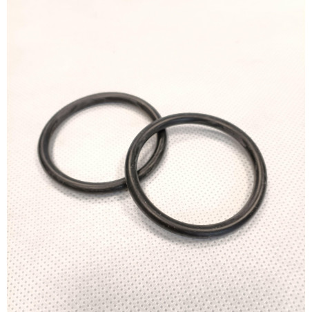 Oring 20405569