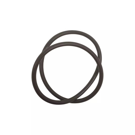 Oring 58010650