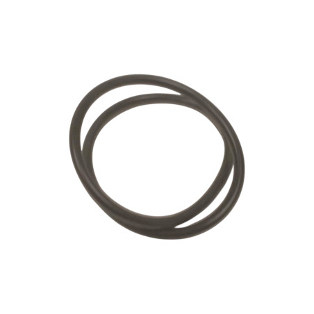 Oring 58010650
