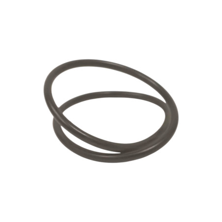 Oring 58010650