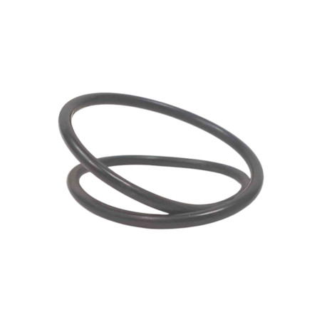 Oring 58010650