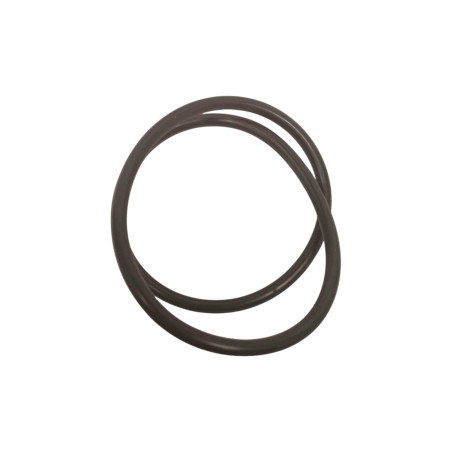 Oring 58010650