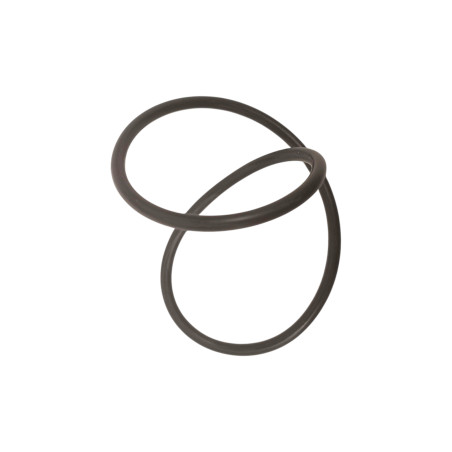 Oring 58010650