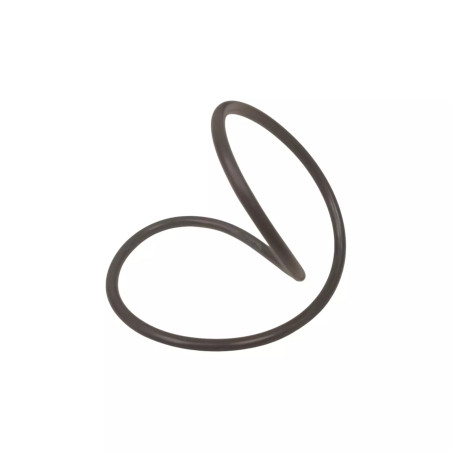 Oring 58010650