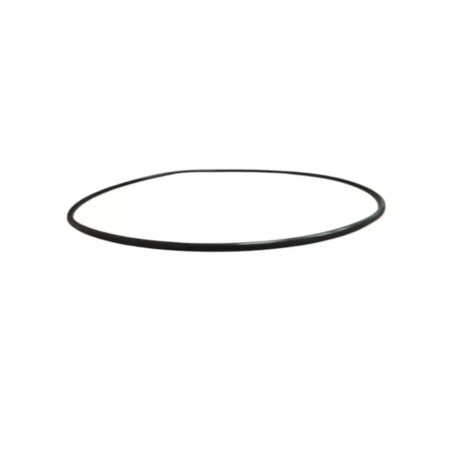 ORING HYUNDAI Y172-042004