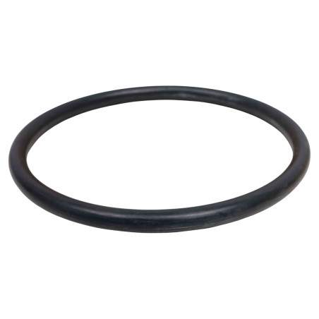 ORING 200X180X12
