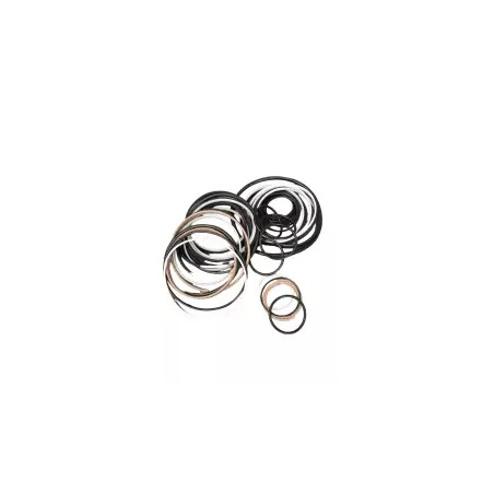 ZESTAW USZCZELEK SIŁOWNIKA KOMATSU PC240  PODNOSZENIA RAMIENIA 707-99-50620
