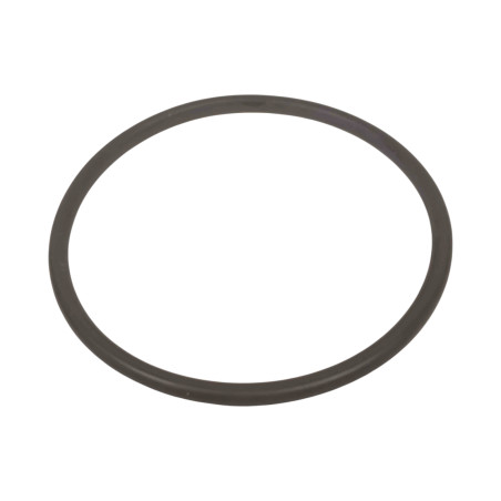 ORING USZCZELKA ZF 0634.304.731  0634304731
