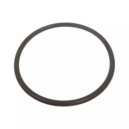 ORING USZCZELKA ZF 0634.304.731  0634304731