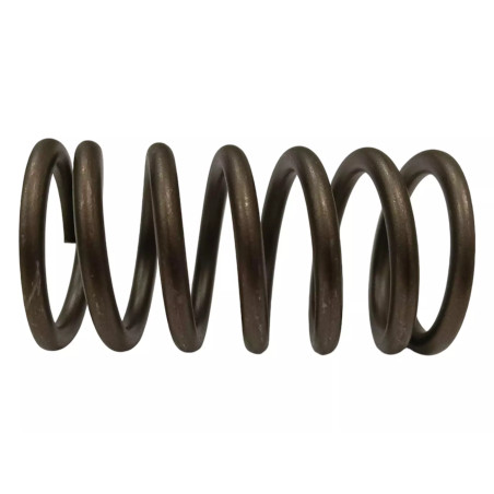 SPRĘŻYNA WYCHYŁU KOŁYSKI POMPY REXROTH  R910924891