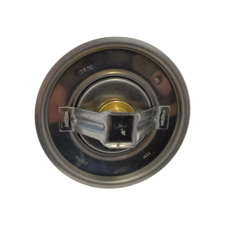 TERMOSTAT WKŁAD HANOMAG 2871591 194927134 D900 44C 44D D600D SUPER L600D