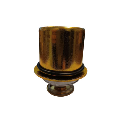 TERMOSTAT CUMMINS 5284903 4930594  3940632 3968559
