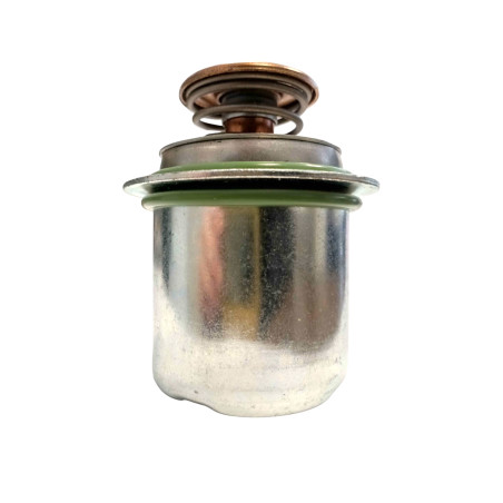 Termostat Cummins 5478594