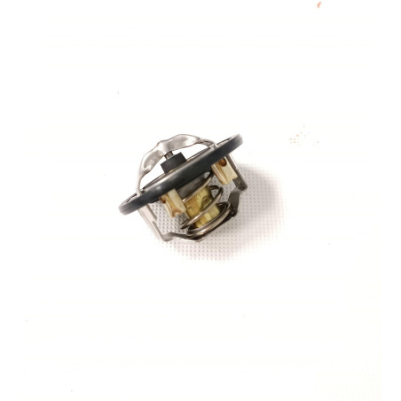 TERMOSTAT CASE 87596477