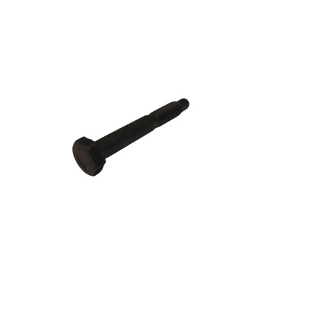 ŚRUBA DO MOSTU M6 45MM 0736.004.055 2982315 ZGAQ-02219 11481362 11481362