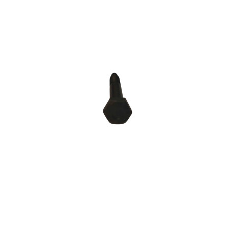 ŚRUBA DO MOSTU M6 45MM 0736.004.055 2982315 ZGAQ-02219 11481362 11481362